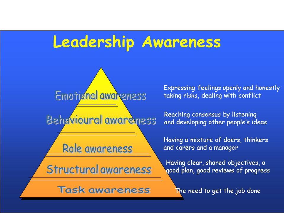 Leadership Awareness Expressing feelings openly and honestly taking risks, dealing with conflict Reaching consensus by listening and developing other people’s ideas Having a mixture of doers, thinkers and carers and a manager Having clear, shared objectives, a good plan, good reviews of progress The need to get the job done