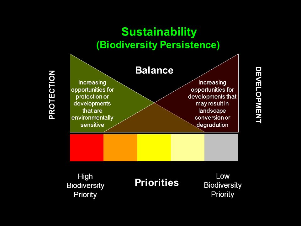 Sustainability (Biodiversity Persistence) High Biodiversity Priority Low Biodiversity Priority PROTECTION DEVELOPMENT Increasing opportunities for protection or developments that are environmentally sensitive Increasing opportunities for developments that may result in landscape conversion or degradation Balance Priorities