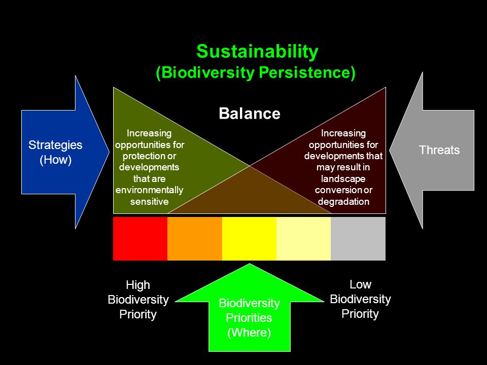 Sustainability (Biodiversity Persistence) High Biodiversity Priority Low Biodiversity Priority PROTECTION DEVELOPMENT Increasing opportunities for protection or developments that are environmentally sensitive Increasing opportunities for developments that may result in landscape conversion or degradation Balance Priorities Threats Biodiversity Priorities (Where) Strategies (How)