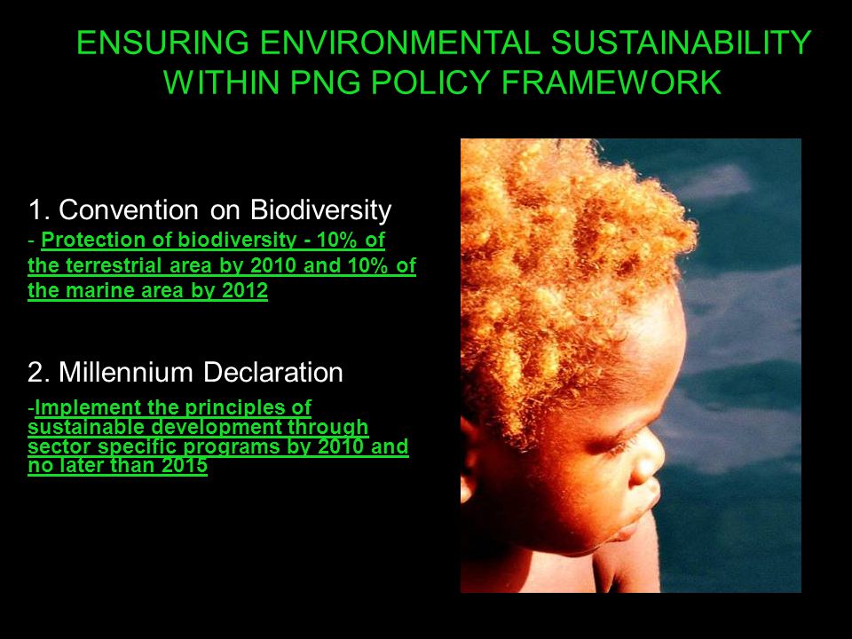 ENSURING ENVIRONMENTAL SUSTAINABILITY WITHIN PNG POLICY FRAMEWORK 1.