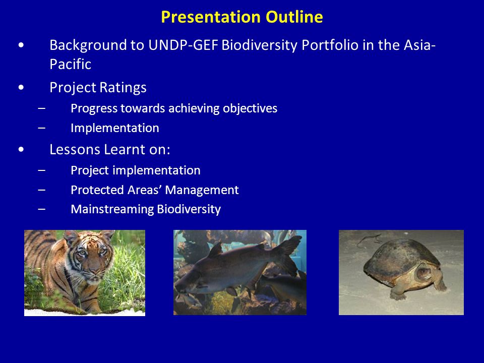 Background to UNDP-GEF Biodiversity Portfolio in the Asia- Pacific Project Ratings –Progress towards achieving objectives –Implementation Lessons Learnt on: –Project implementation –Protected Areas’ Management –Mainstreaming Biodiversity Presentation Outline