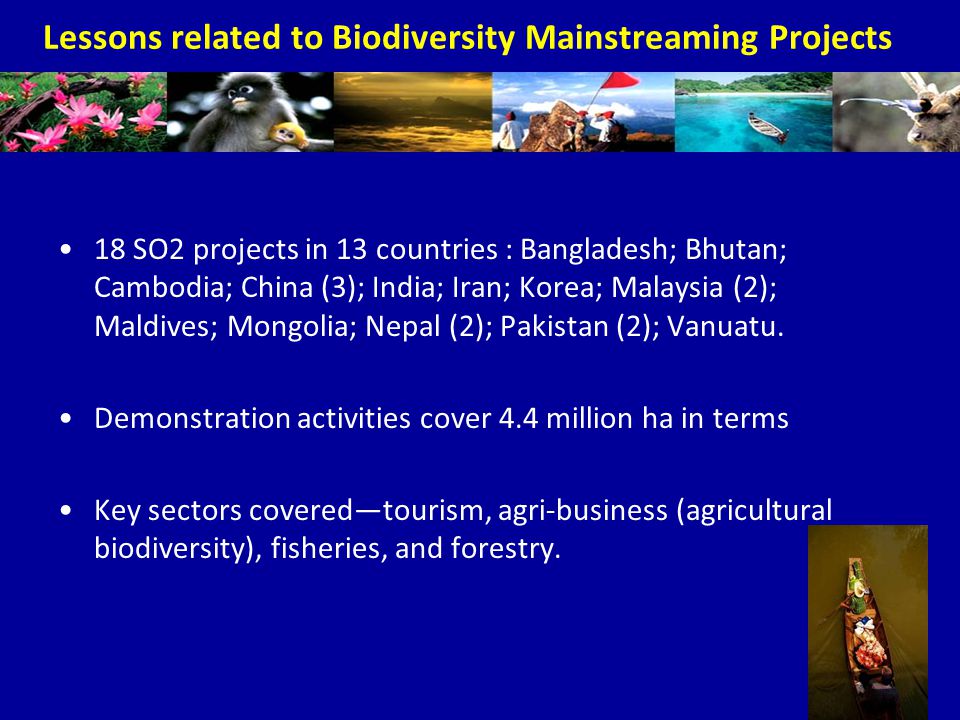 Lessons related to Biodiversity Mainstreaming Projects 18 SO2 projects in 13 countries : Bangladesh; Bhutan; Cambodia; China (3); India; Iran; Korea; Malaysia (2); Maldives; Mongolia; Nepal (2); Pakistan (2); Vanuatu.