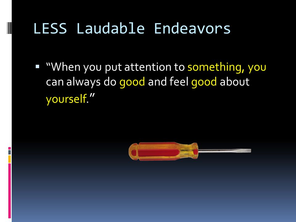 LESS Laudable Endeavors  When you put attention to something, you can always do good and feel good about yourself.