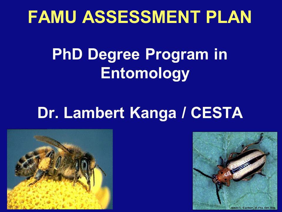FAMU ASSESSMENT PLAN PhD Degree Program in Entomology Dr. Lambert Kanga / CESTA