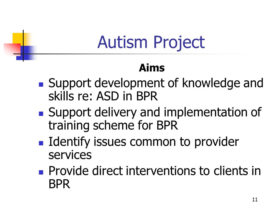 11 Autism Project Aims Support development of knowledge and skills re: ASD in BPR Support delivery and implementation of training scheme for BPR Identify issues common to provider services Provide direct interventions to clients in BPR