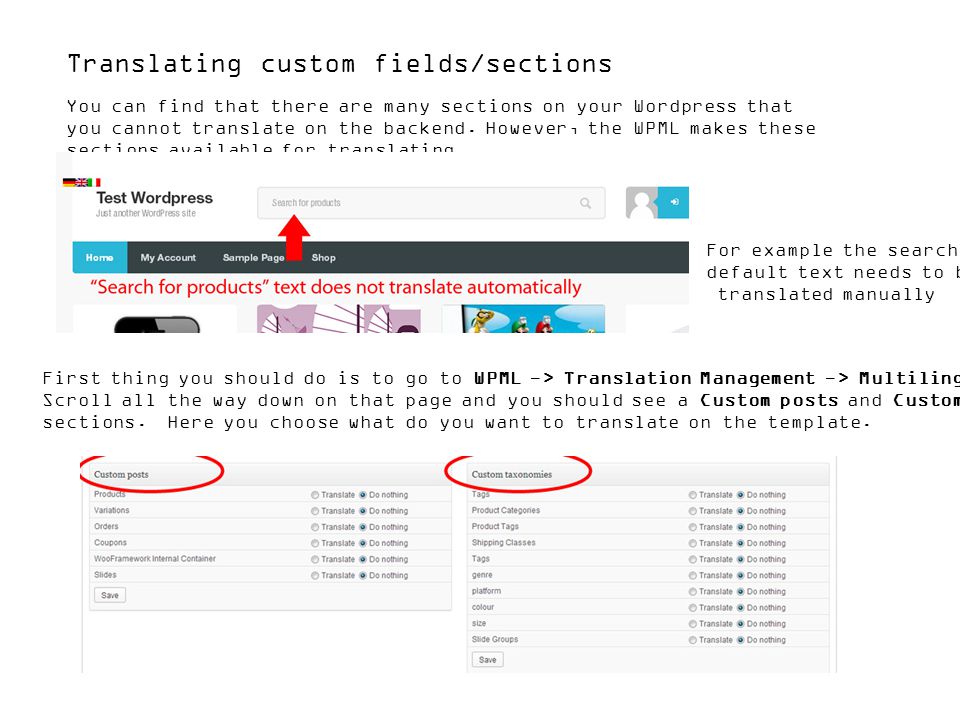 Translating custom fields/sections You can find that there are many sections on your Wordpress that you cannot translate on the backend.