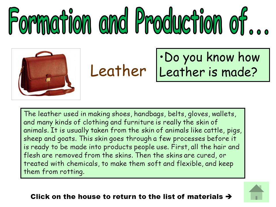 The leather used in making shoes, handbags, belts, gloves, wallets, and many kinds of clothing and furniture is really the skin of animals.