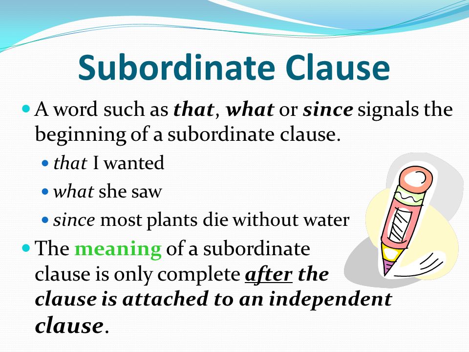 Subordinate Clause A word such as that, what or since signals the beginning of a subordinate clause.