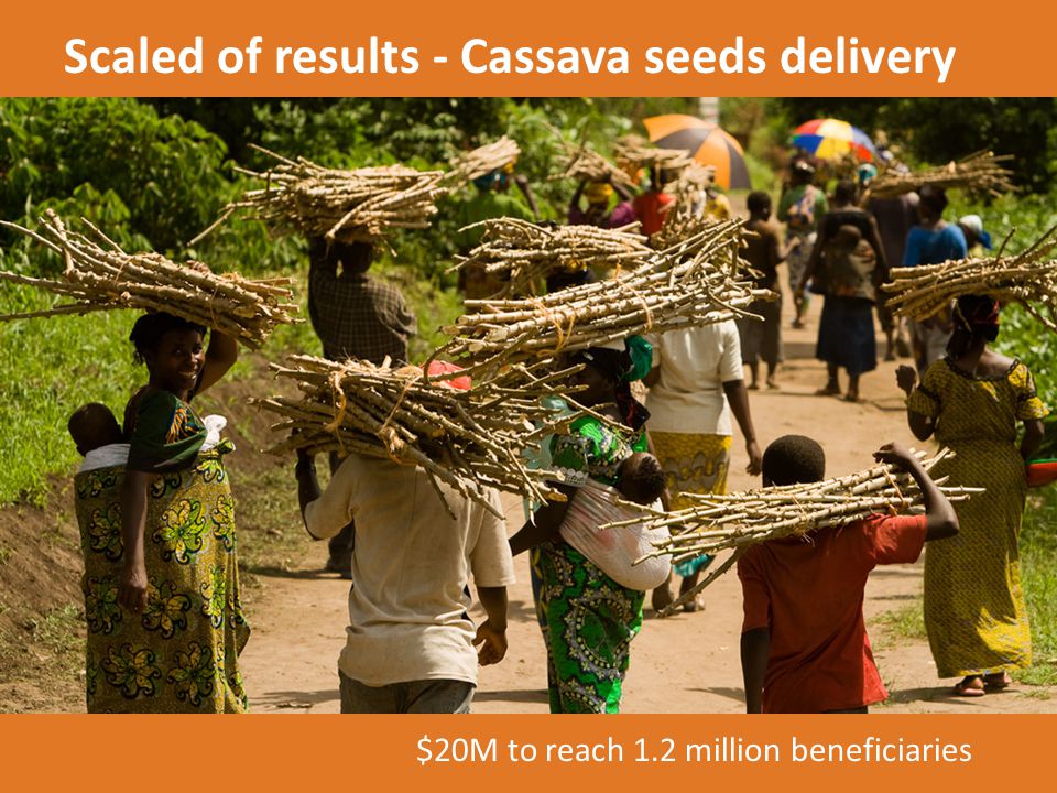 Scaled of results - Cassava seeds delivery $20M to reach 1.2 million beneficiaries