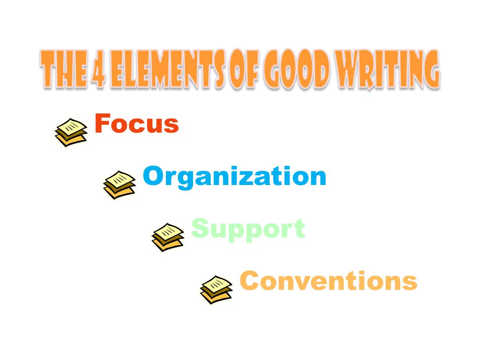 Focus Organization Support Conventions