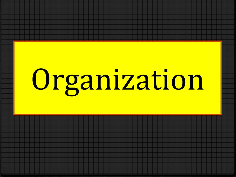 Organization