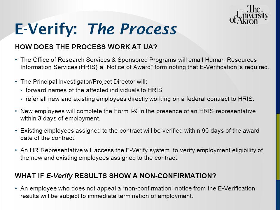 E-Verify: The Process HOW DOES THE PROCESS WORK AT UA.