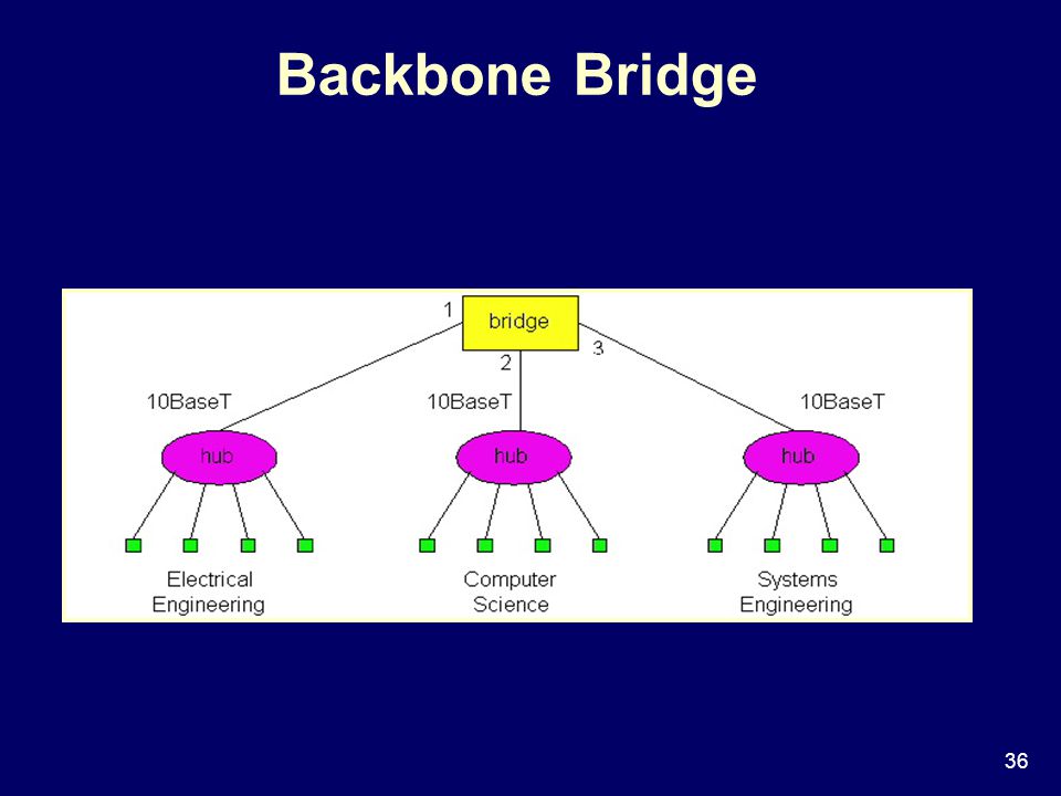 36 Backbone Bridge