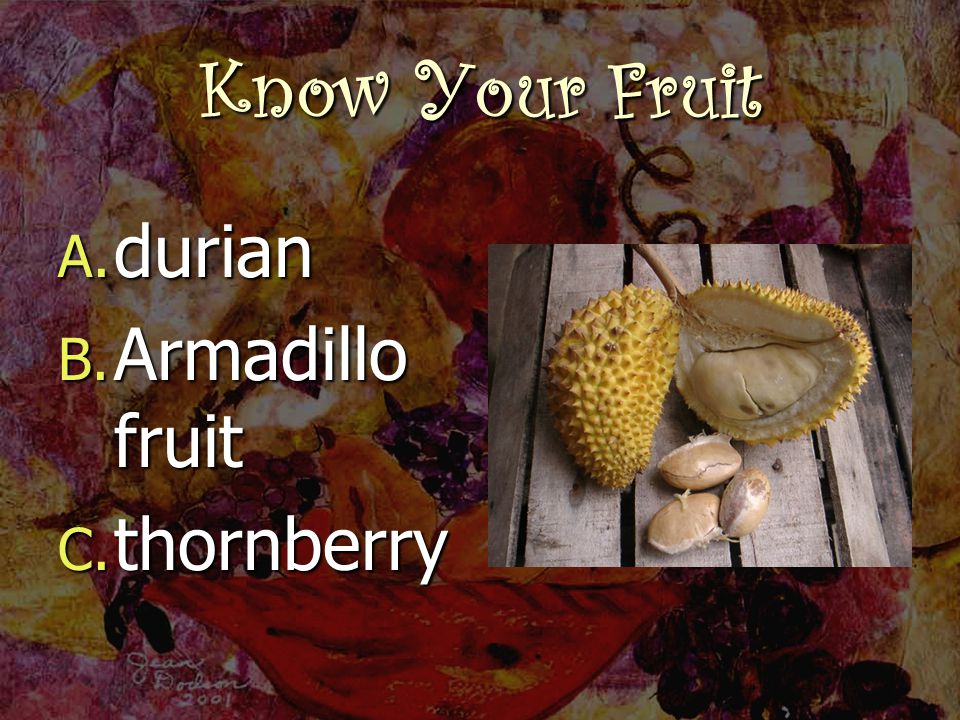 Know Your Fruit A. durian B. Armadillo fruit C. thornberry