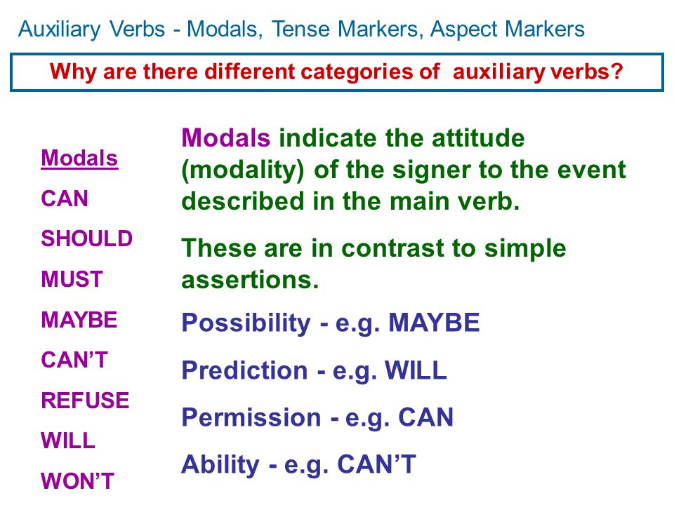 Auxiliary Verbs - Modals, Tense Markers, Aspect Markers Grammatical  Properties 1. Auxiliary verbs precede the main verb. 2. Auxiliary verb tags  precede. - ppt download