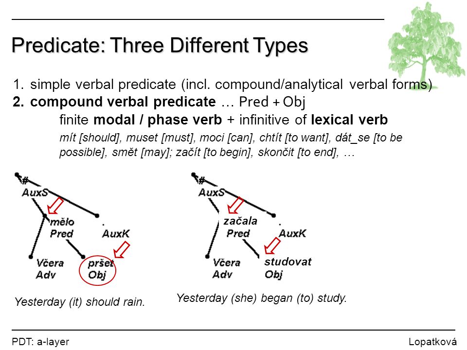 1.simple verbal predicate (incl.