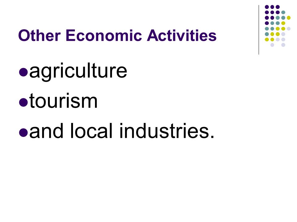 Other Economic Activities agriculture tourism and local industries.