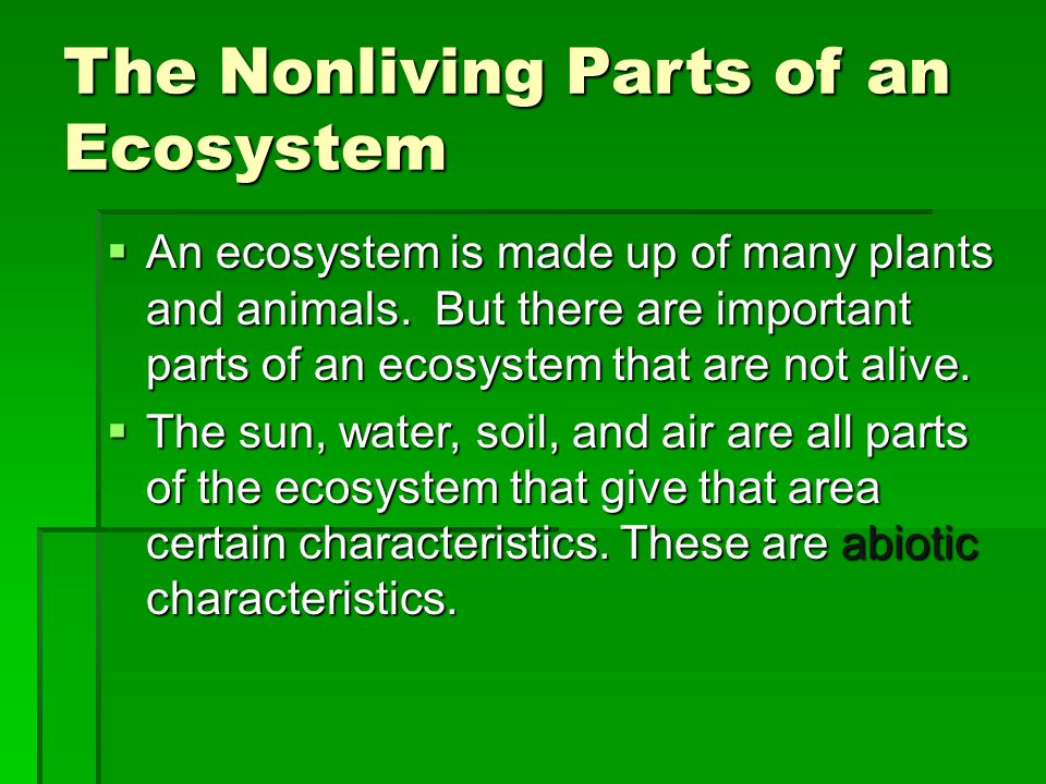 Chapter 1 Interactions Between Living Things And Their Environment Lesson 1 Interdependence Of Plants And Animals Ppt Download