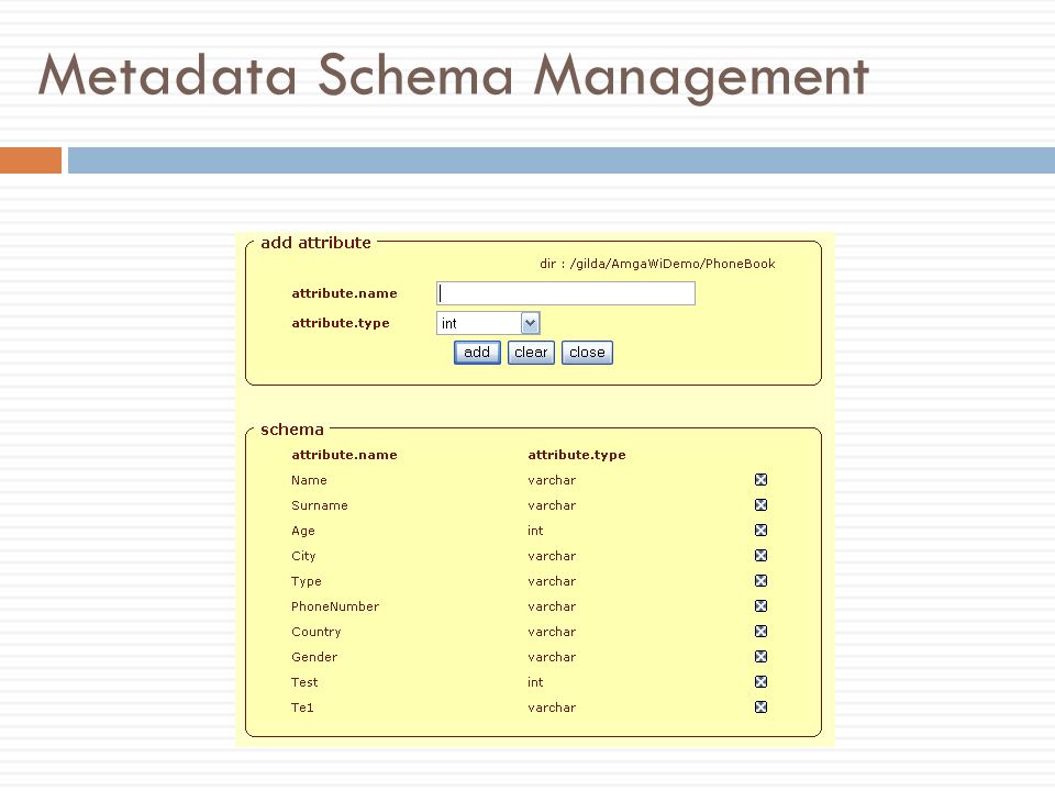 Metadata Schema Management