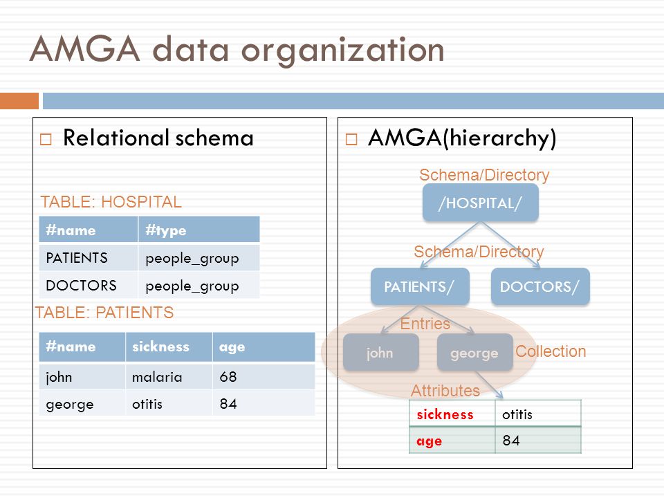 AMGA data organization  Relational schema  AMGA(hierarchy) /HOSPITAL/ PATIENTS/ DOCTORS/ john george #namesicknessage johnmalaria68 georgeotitis84 sicknessotitis age84 Attributes Entries Schema/Directory TABLE: PATIENTS #name PATIENTS DOCTORS TABLE: HOSPITAL Collection #type people_group