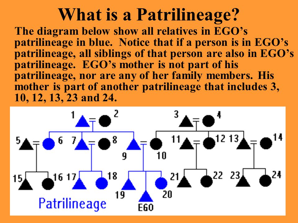 What is a Patrilineage. The diagram below show all relatives in EGO’s patrilineage in blue.