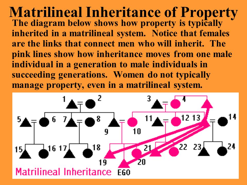 Matrilineal Inheritance of Property The diagram below shows how property is typically inherited in a matrilineal system.