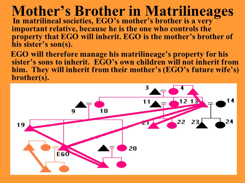 Mother’s Brother in Matrilineages In matrilineal societies, EGO’s mother’s brother is a very important relative, because he is the one who controls the property that EGO will inherit.
