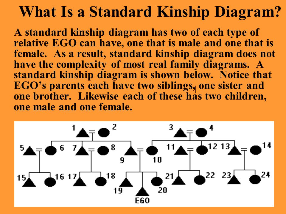 What Is a Standard Kinship Diagram.