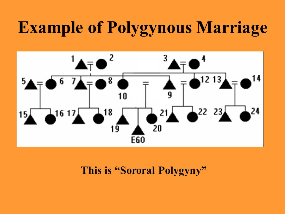 Example of Polygynous Marriage This is Sororal Polygyny