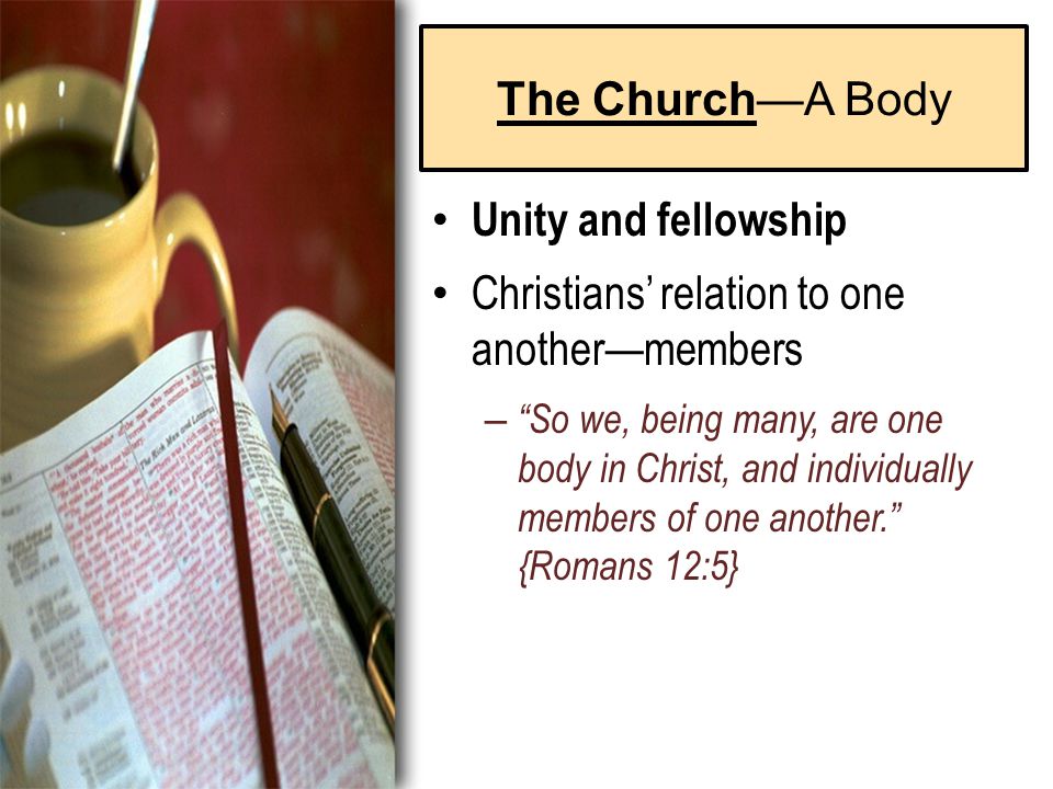 The Church—A Body Unity and fellowship Christians’ relation to one another—members – So we, being many, are one body in Christ, and individually members of one another. {Romans 12:5}