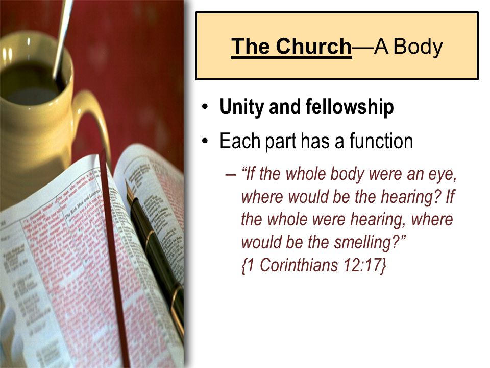 The Church—A Body Unity and fellowship Each part has a function – If the whole body were an eye, where would be the hearing.