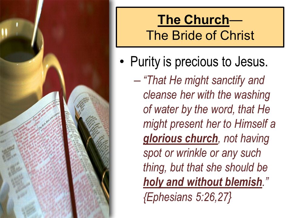 The Church— The Bride of Christ Purity is precious to Jesus.