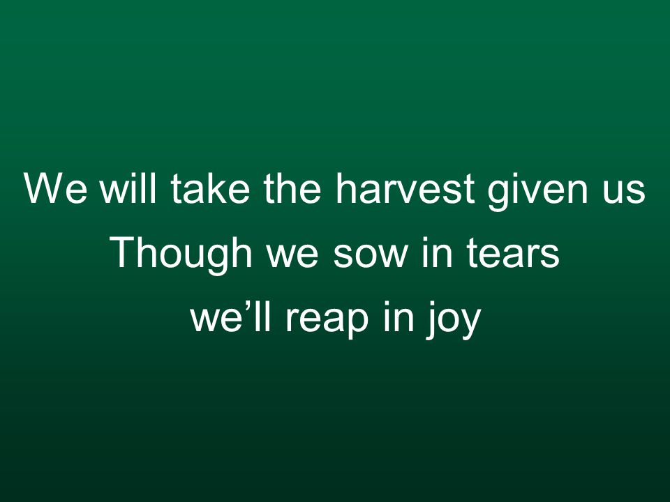 We will take the harvest given us Though we sow in tears we’ll reap in joy