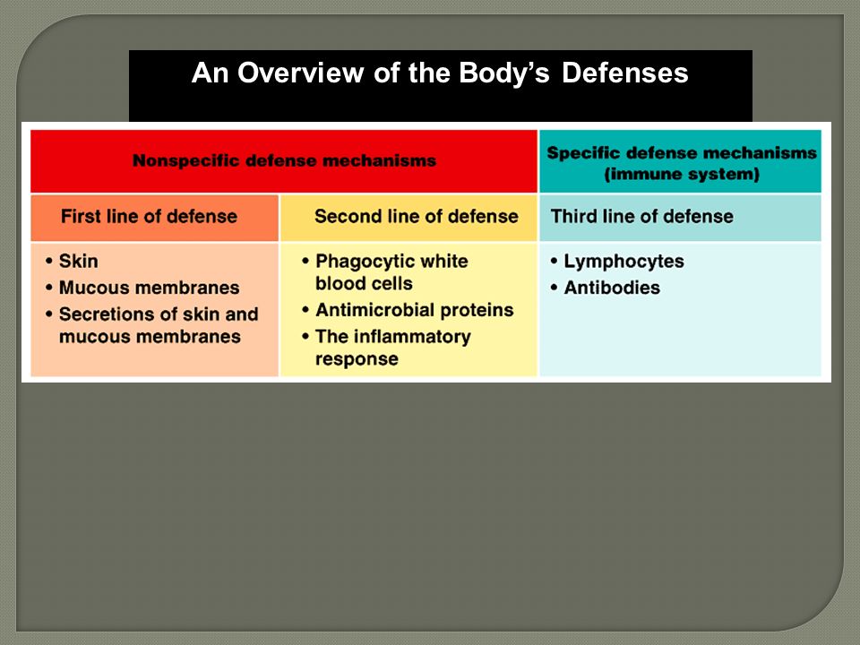 An Overview of the Body’s Defenses