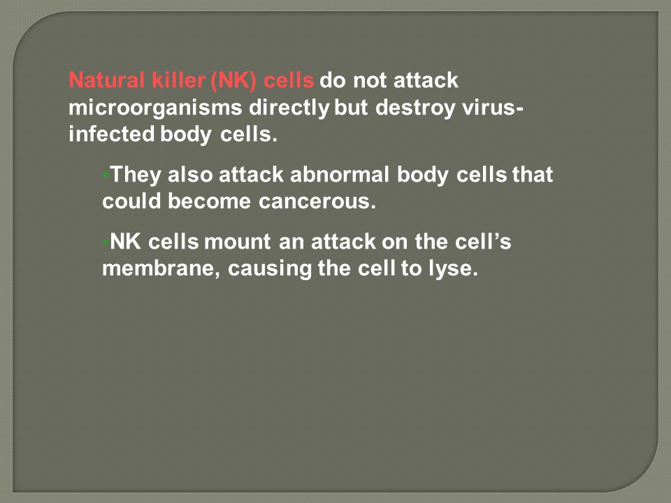 Natural killer (NK) cells do not attack microorganisms directly but destroy virus- infected body cells.