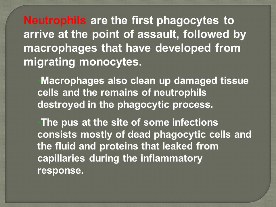 Neutrophils are the first phagocytes to arrive at the point of assault, followed by macrophages that have developed from migrating monocytes.