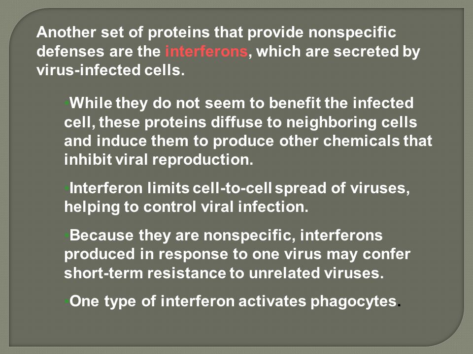 Another set of proteins that provide nonspecific defenses are the interferons, which are secreted by virus-infected cells.