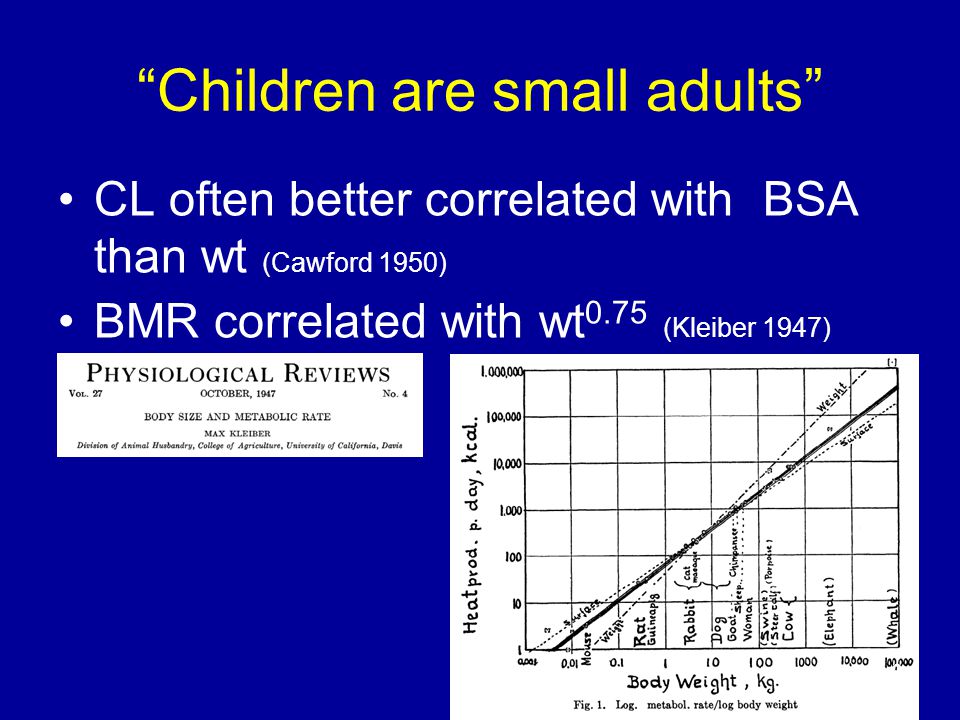Children are small adults CL often better correlated with BSA than wt (Cawford 1950) BMR correlated with wt 0.75 (Kleiber 1947) 9