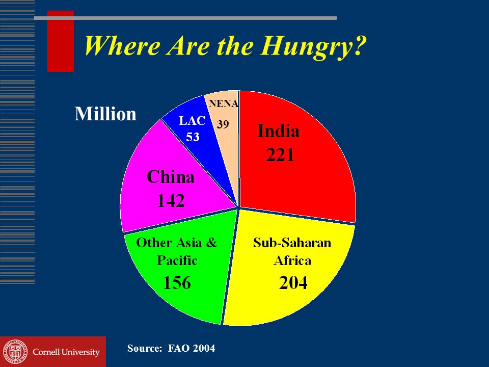 Where Are the Hungry Source: FAO 2004 NENA 39 Million