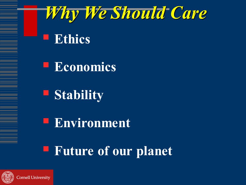 Why We Should Care  Ethics  Economics  Stability  Environment  Future of our planet