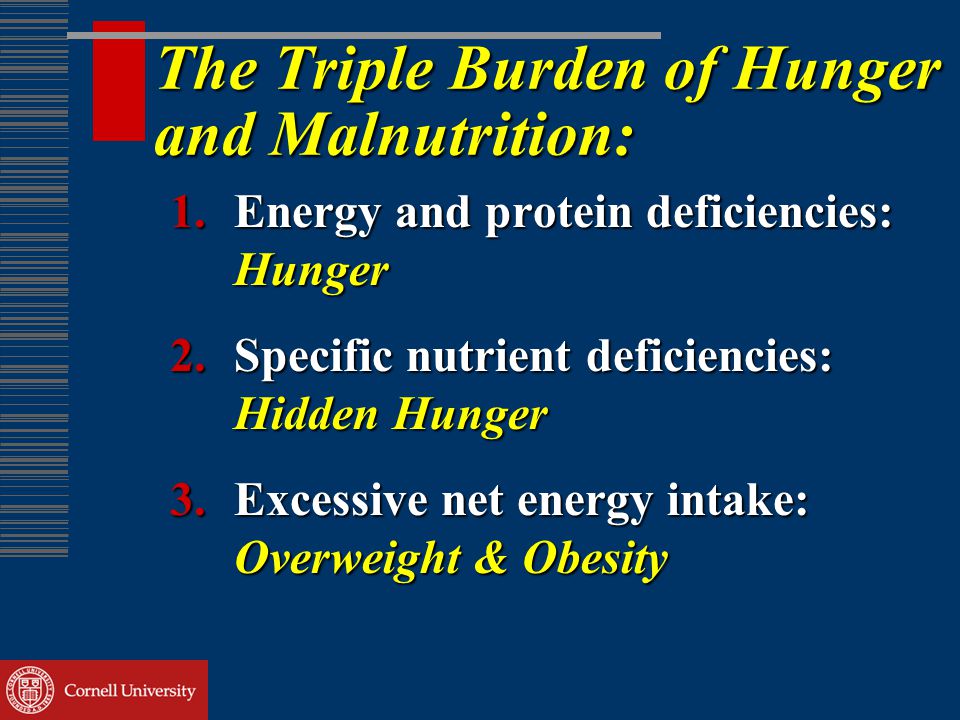 The Triple Burden of Hunger and Malnutrition: 1.Energy and protein deficiencies: Hunger 2.Specific nutrient deficiencies: Hidden Hunger 3.Excessive net energy intake: Overweight & Obesity