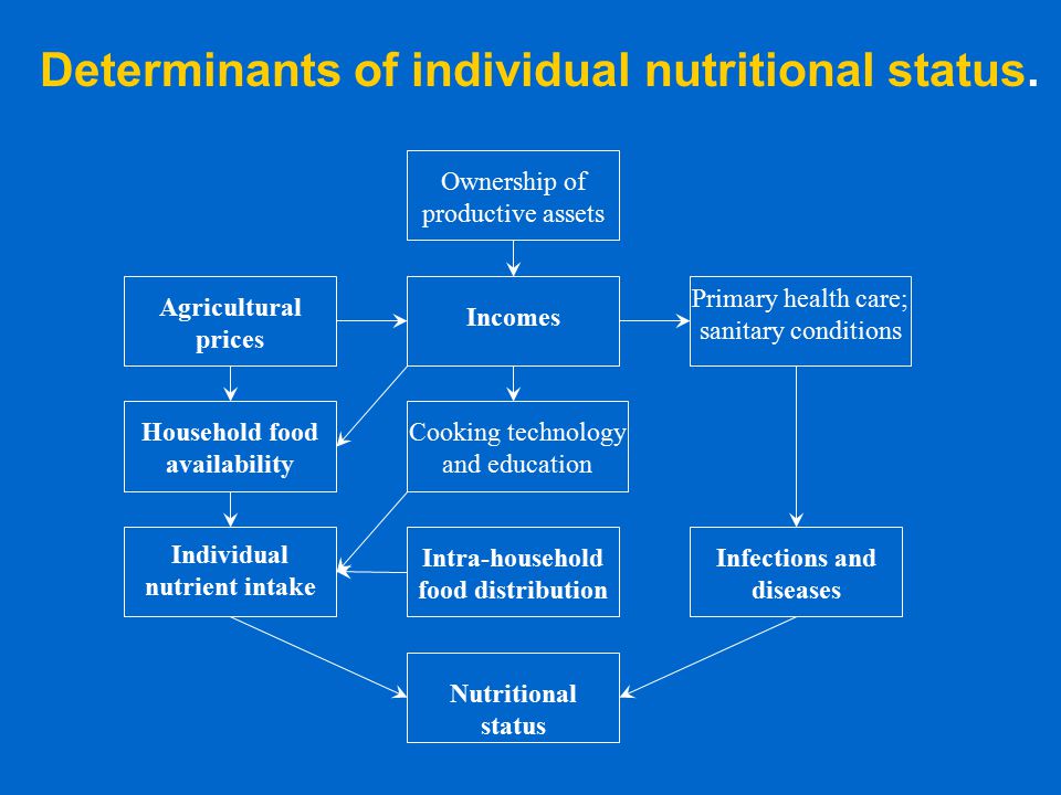 Ownership of productive assets Incomes Agricultural prices Primary health care; sanitary conditions Cooking technology and education Household food availability Individual nutrient intake Intra-household food distribution Infections and diseases Nutritional status Determinants of individual nutritional status.