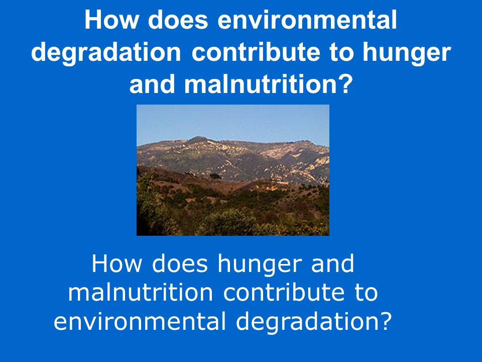 How does environmental degradation contribute to hunger and malnutrition.