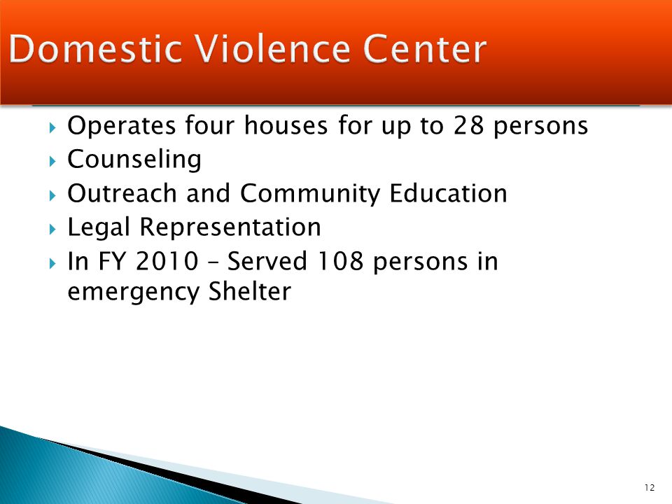  Operates four houses for up to 28 persons  Counseling  Outreach and Community Education  Legal Representation  In FY 2010 – Served 108 persons in emergency Shelter 12
