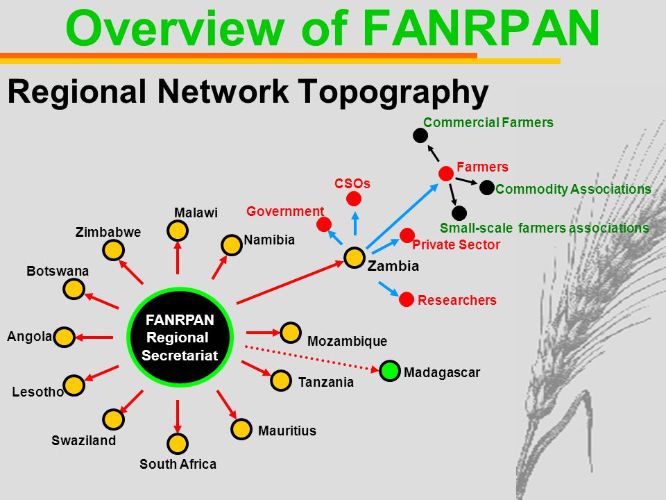 Regional Network Topography FANRPAN Regional Secretariat Malawi Namibia Mozambique Tanzania Mauritius South Africa Swaziland Lesotho Angola Botswana Zimbabwe Zambia Government Researchers CSOs Madagascar Farmers Private Sector Commercial Farmers Small-scale farmers associations Commodity Associations