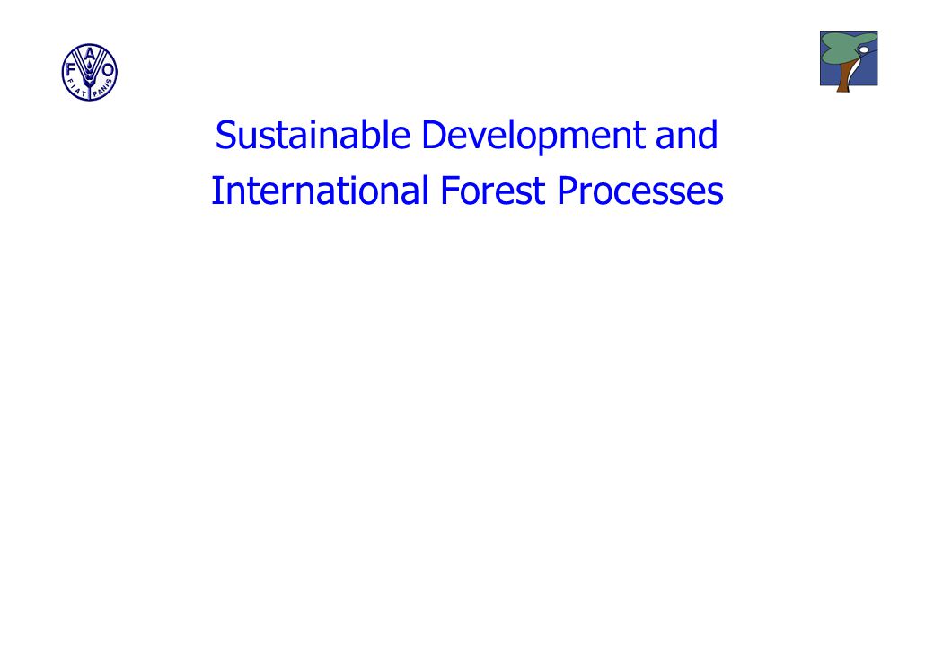 Sustainable Development and International Forest Processes