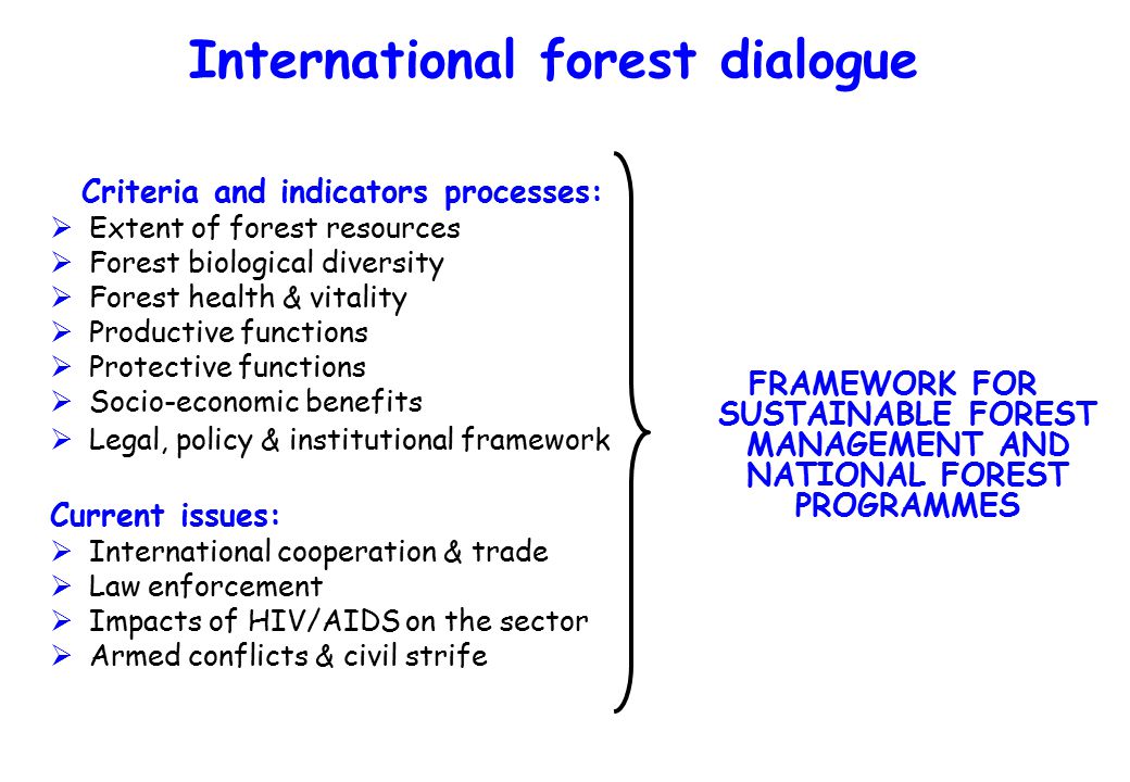 International forest dialogue Criteria and indicators processes:  Extent of forest resources  Forest biological diversity  Forest health & vitality  Productive functions  Protective functions  Socio-economic benefits  Legal, policy & institutional framework Current issues:  International cooperation & trade  Law enforcement  Impacts of HIV/AIDS on the sector  Armed conflicts & civil strife FRAMEWORK FOR SUSTAINABLE FOREST MANAGEMENT AND NATIONAL FOREST PROGRAMMES