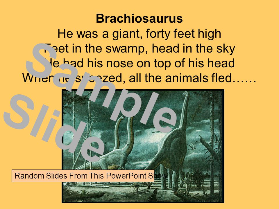 Brachiosaurus He was a giant, forty feet high Feet in the swamp, head in the sky He had his nose on top of his head When he sneezed, all the animals fled…… Sample Slide Random Slides From This PowerPoint Show