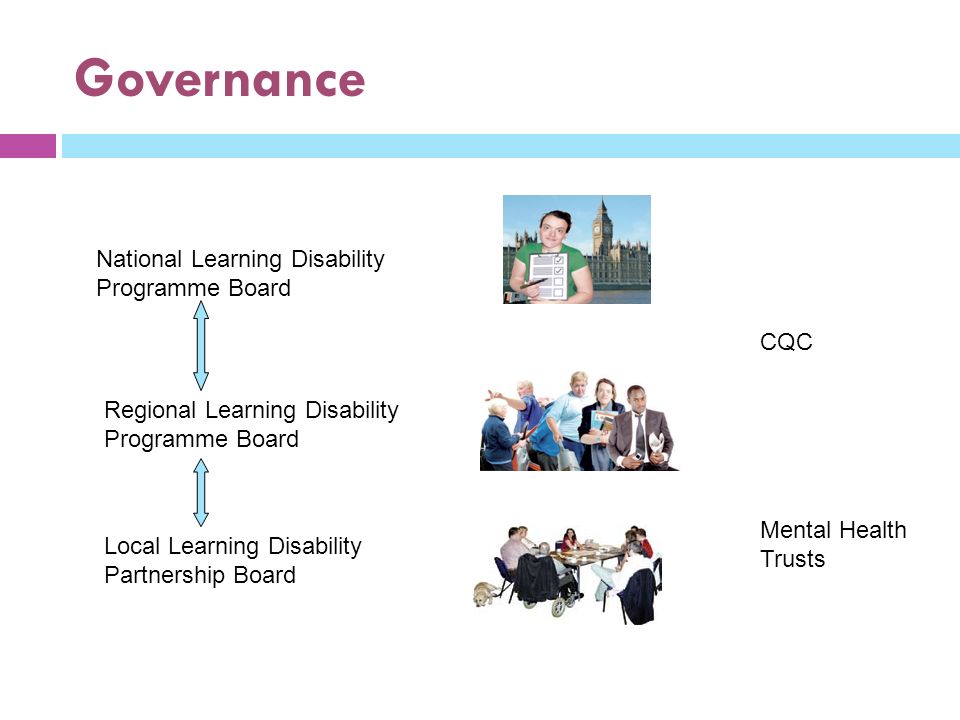 Governance National Learning Disability Programme Board Regional Learning Disability Programme Board Local Learning Disability Partnership Board Mental Health Trusts CQC