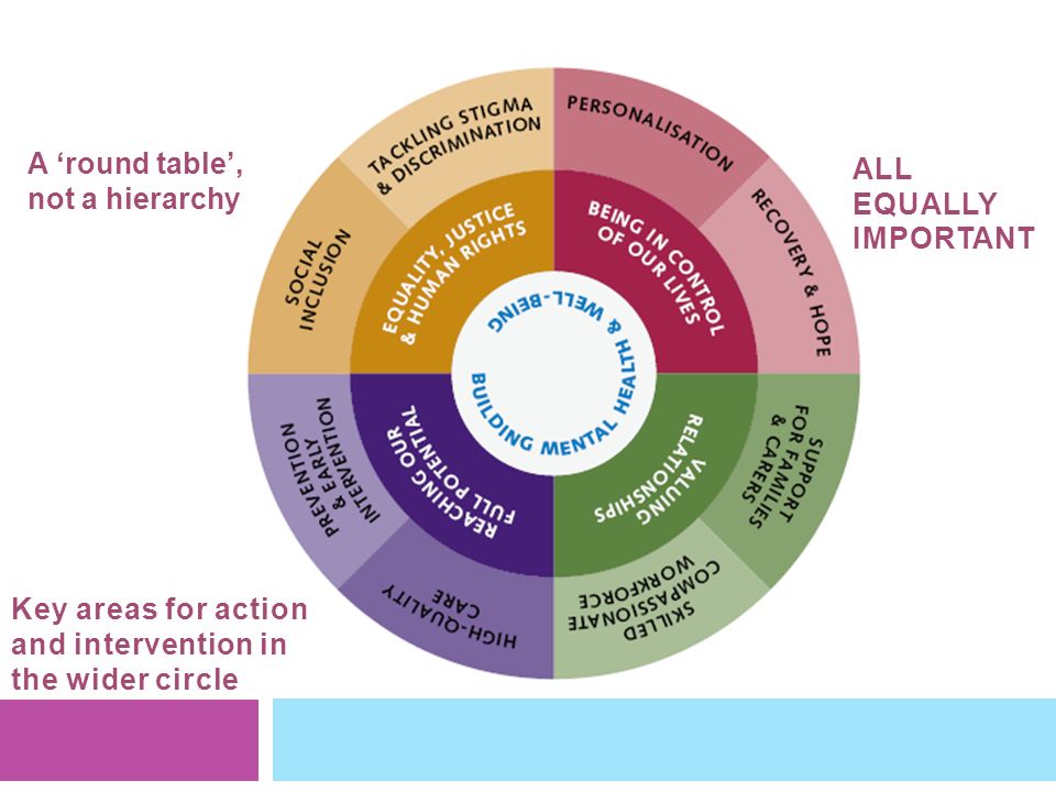 ALL EQUALLY IMPORTANT A ‘round table’, not a hierarchy Key areas for action and intervention in the wider circle